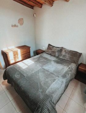 Ciruelos del Sur - San Rafael Mendoza