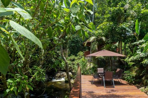 CurtaTere fireplace pool pet friendly garden