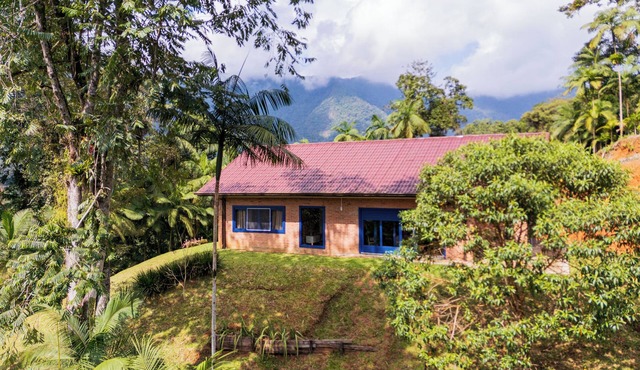 Dona Bela Farm – Forest view and barbecue area