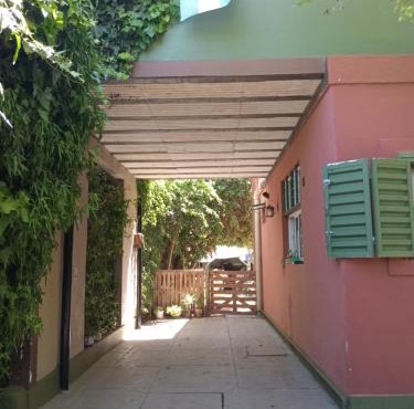 El olivo apart