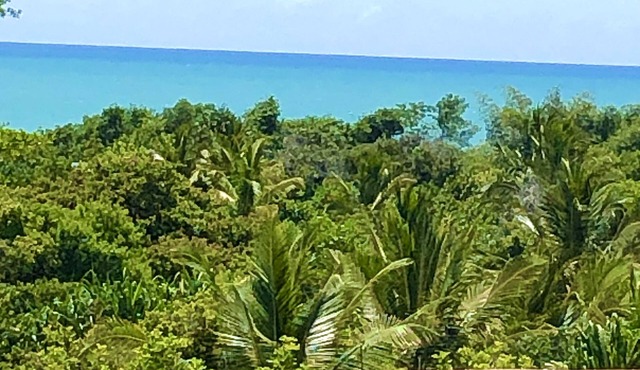 Eliza Bungalow, luxury with sea view in Trancoso
