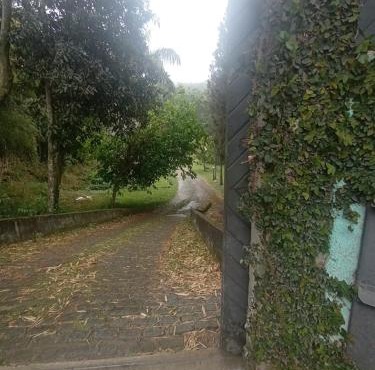 Estúdio Raiz da Mata in Nova Friburgo