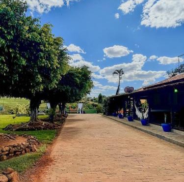 Fazenda Rosa Dourada