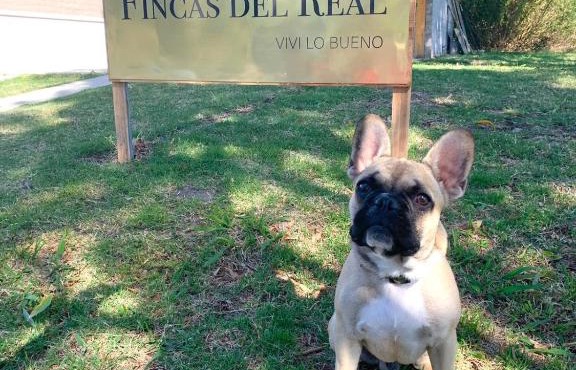 Fincas del Real in Colonia del Sacramento