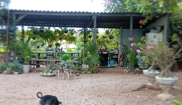 Garden Monte Líbano