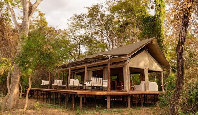 Glamping Los Palmares