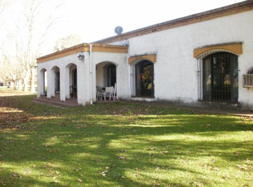 Haras L'Etalon
