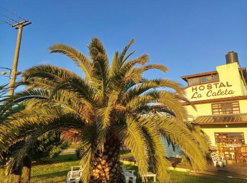 Hostal la Caleta