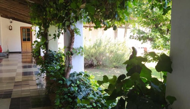 Hotel del Alto