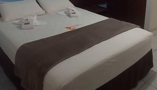 Hotel Fenix