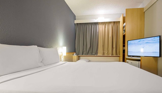 ibis Santo Andre