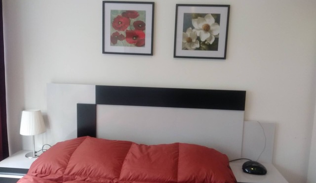 Impeccable apartment in excellent location in Montevideo