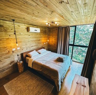 Into The Wild Cabin