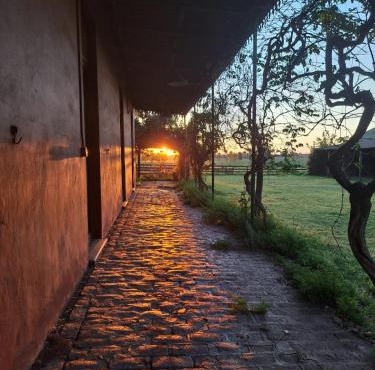 La Feria, casa de campo