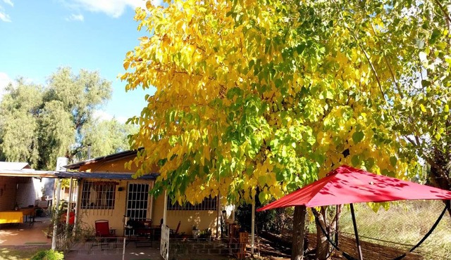 La Pepita