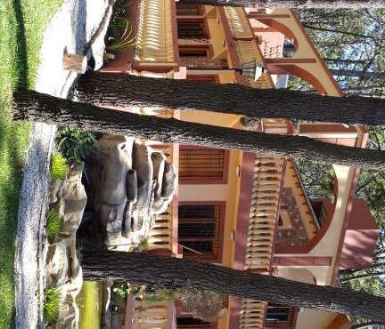 Lago del bosque