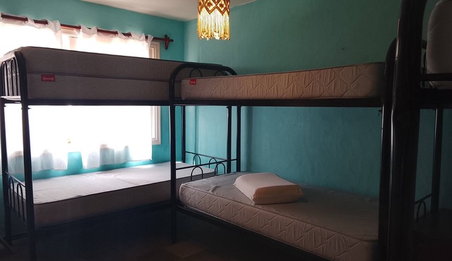 Lodging NEAR THE SEA. In one of the best areas of Punta del Este. in PUNTA DEL ESTE Maldonado