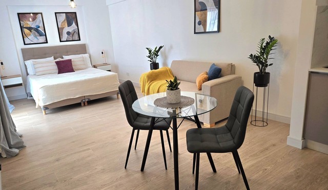Modern 475 Sq Ft Studio Rooftop Pool Gym Secure Central Location