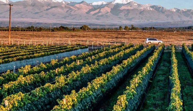 MOT Rentals + Wine Country - 3 Bd Villa in Tupungato
