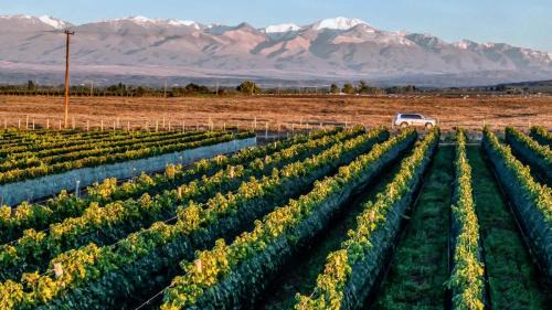 MOT Wine Country 3 Bd Villa Tupungato