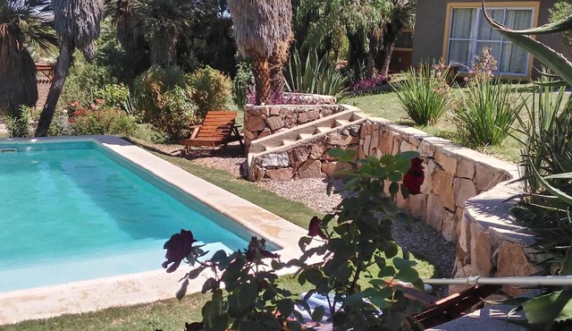 Palmares al cerro