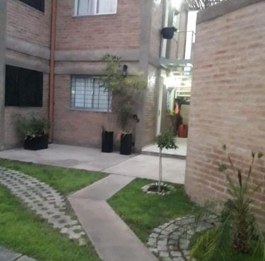 pequeña Allegra 2
