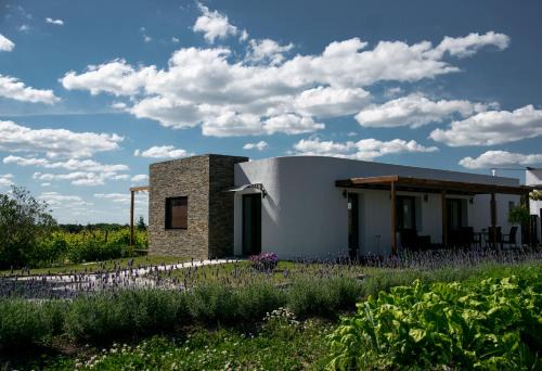 Pizzorno Lodge & Wine in Progreso