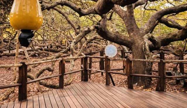 Resort em Pium Térreo com Quintal Próx da Praia