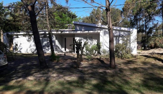 Sabiá in Cuchilla Alta