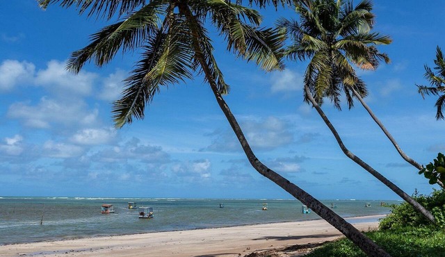 Seaside paradise at Praia do Patacho – 4 suites in Praia do Patacho