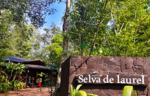Selva de Laurel