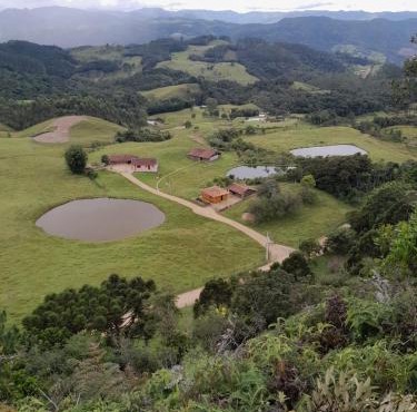 sitio das lhamas