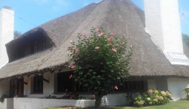 Solanas Punta Ballena House 8 people in Punta Ballena