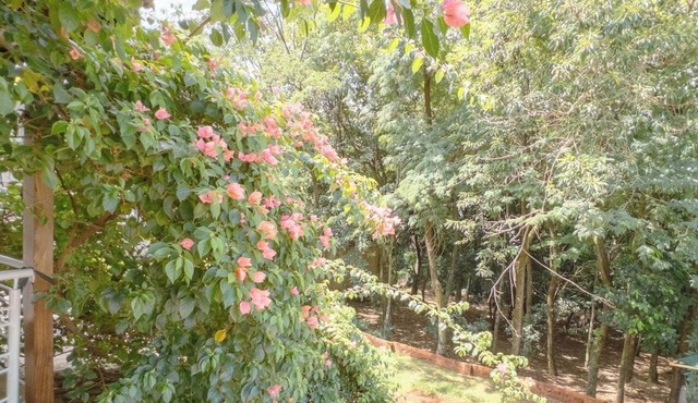 Spacious House near Parque do Inga - JA217 in Maringá
