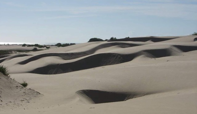 Trail in the dunes. Almost deserted beach with great accommodations. Minimum 5 days