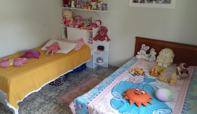 Venda Nova do imigrante