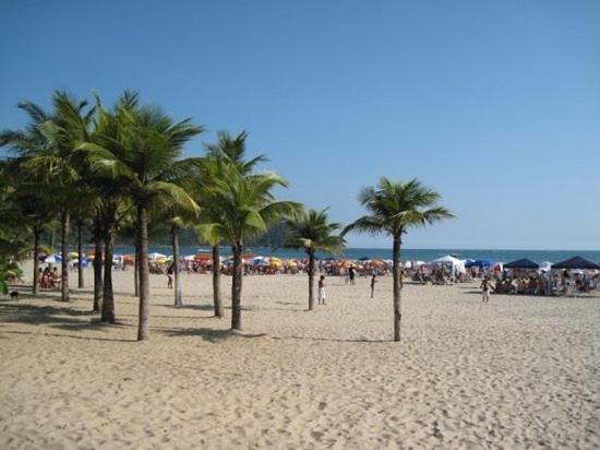 Apto Praia Grande