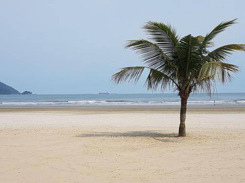 Boqueirao Apartment | 95 m² Apartment ∙ 2 bedrooms ∙ 4 guests
