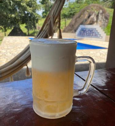 Pinhalzinho House | Canto da pedra