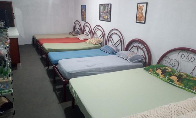 Braganca Paulista Hostel | Hostel Santuário de Proteção Animal Filhos de Salomão