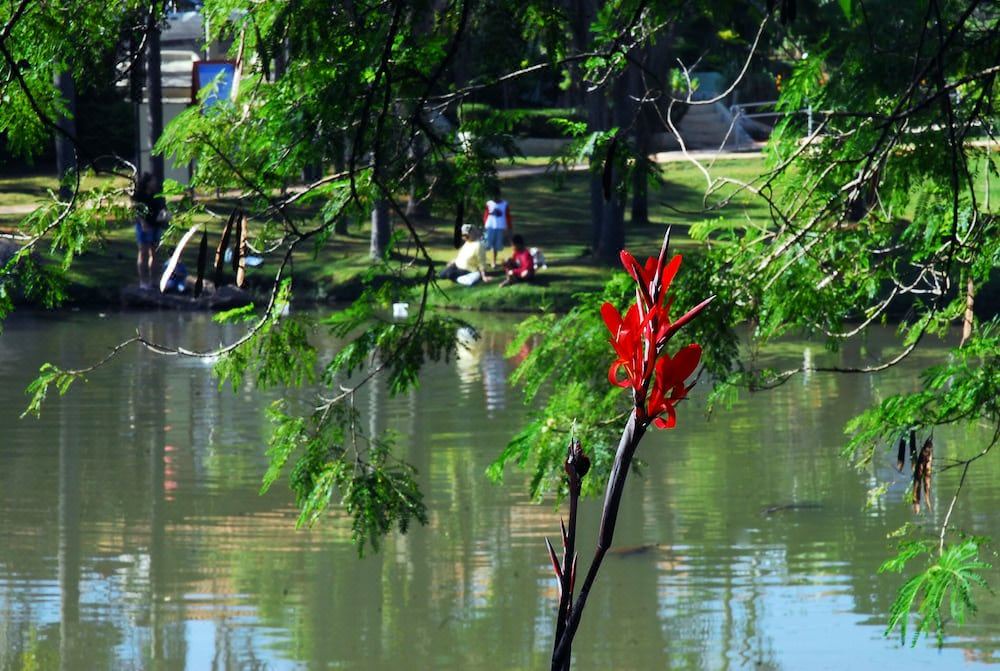 Photo of Outdoor in Sorocaba