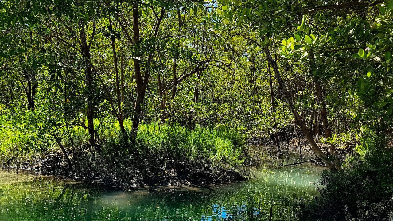 Photo of Outdoor in Jijoca de Jericoacoara