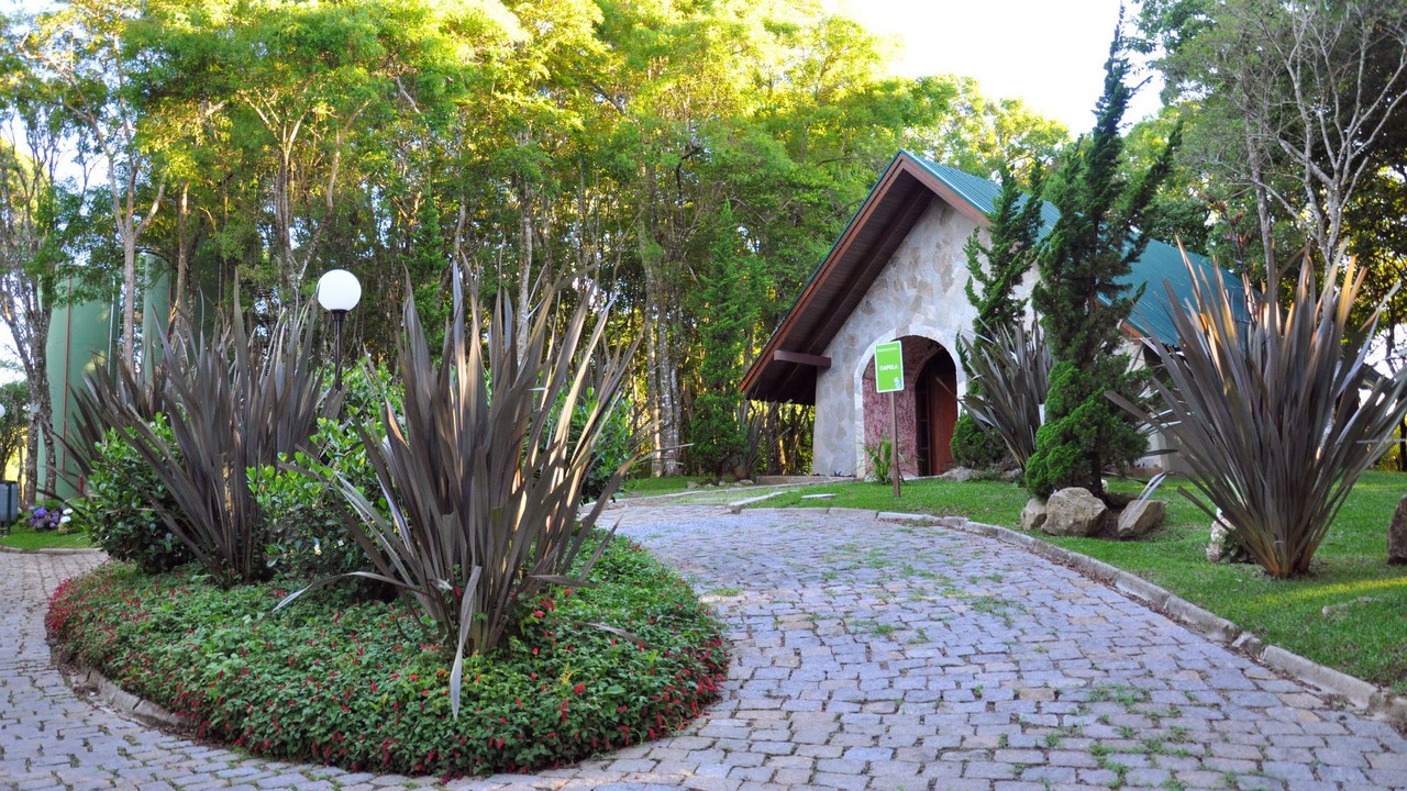 Photo of Buildings in Campina Grande Do Sul