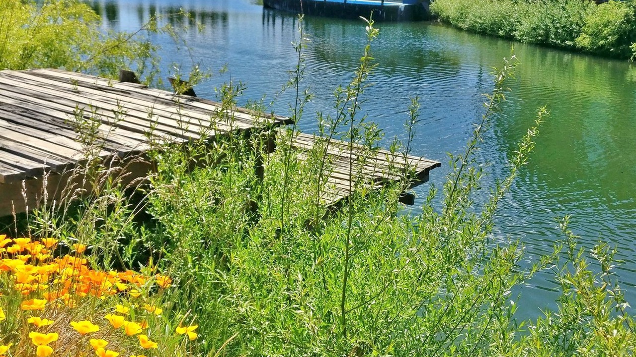 Photo of Outdoor in Dina Huapi