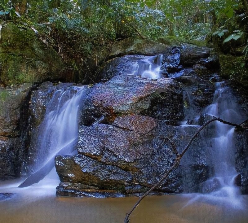 Photo of Others in Campina Grande Do Sul