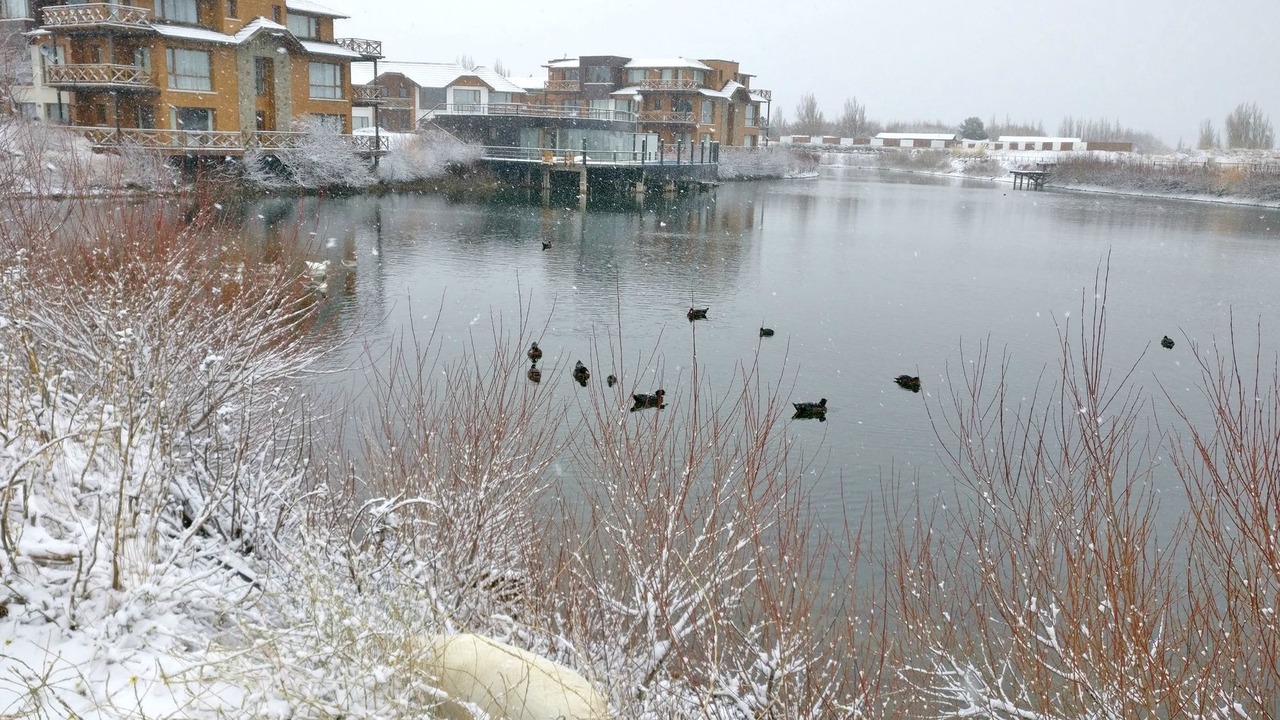 Photo of Outdoor in Dina Huapi