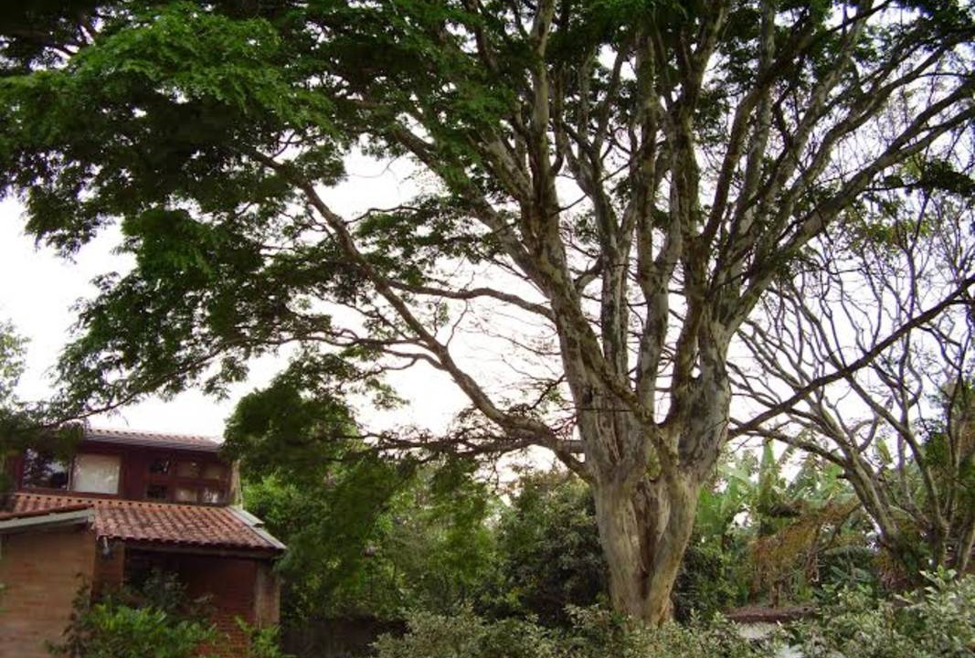 Photo of Others in Campinas