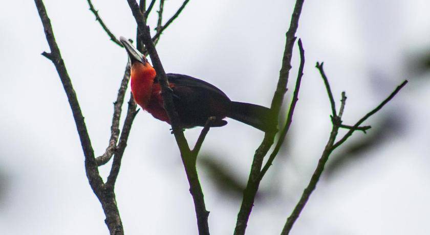 Photo of Others in Mairipora