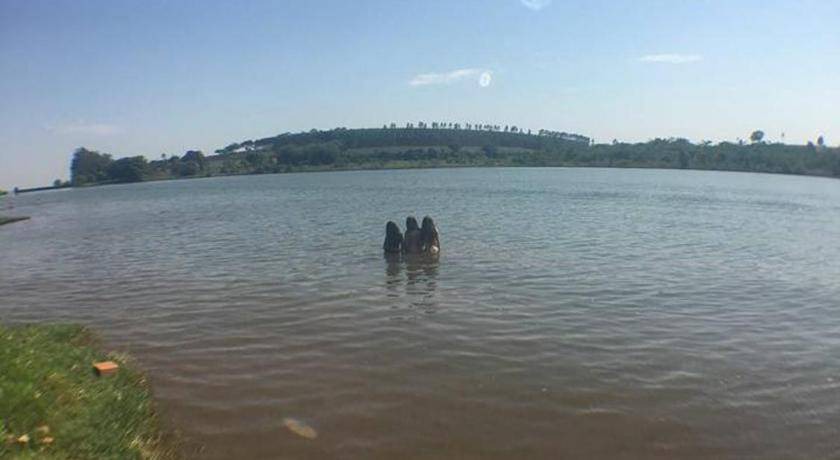 Photo of Others in Patrimonio Sao Sebastiao da Serra