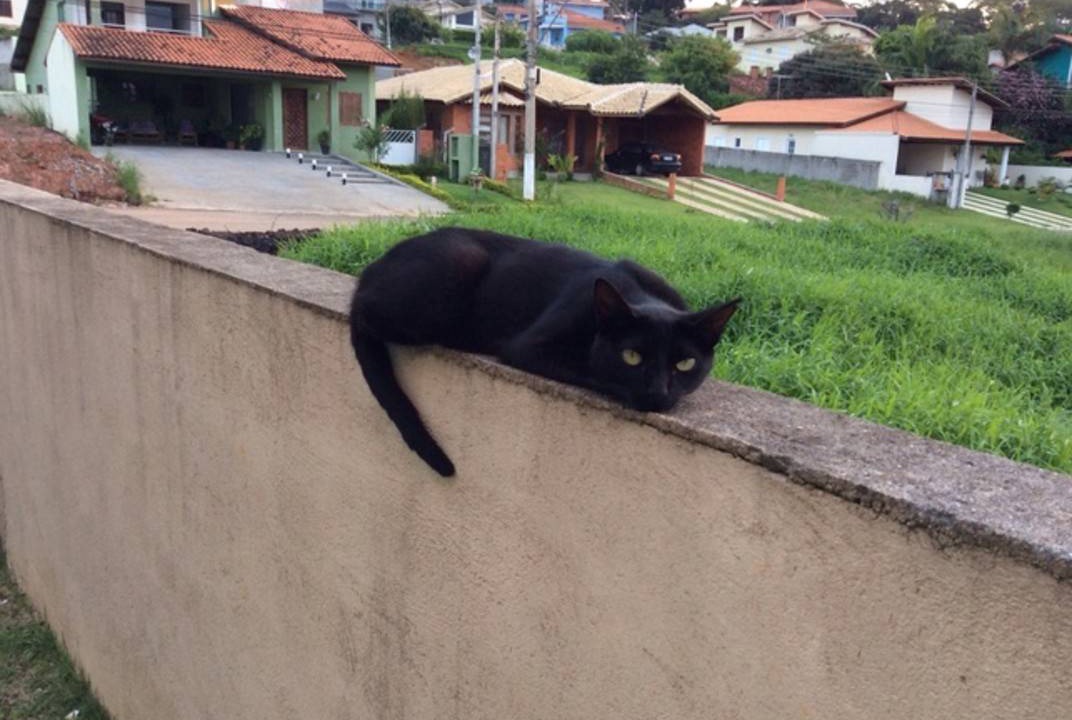 Photo of Others in Vargem Grande Paulista